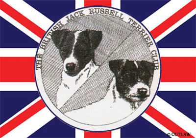 parson russell terrier club